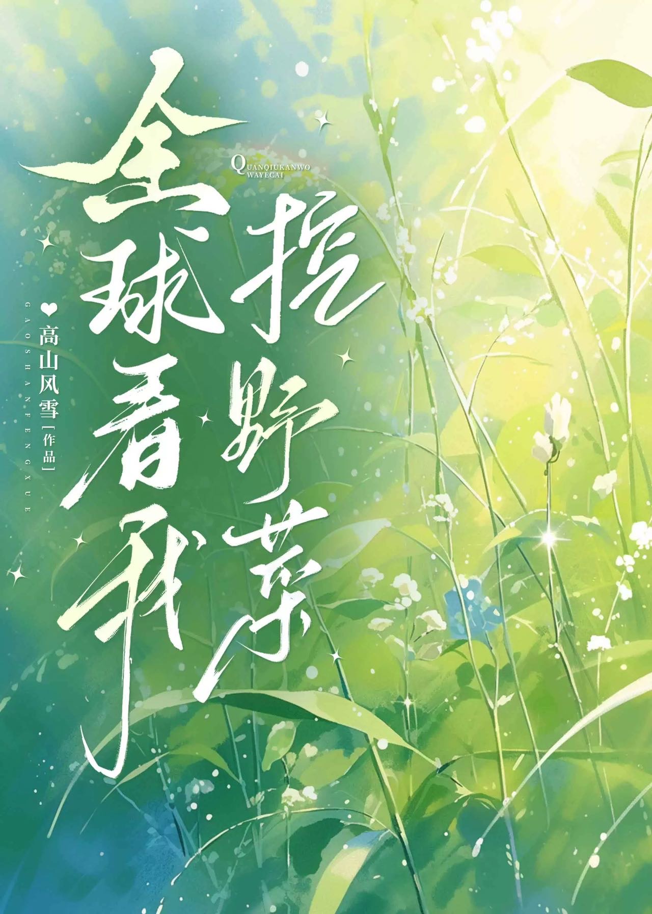 全球挖宝全文免费阅读