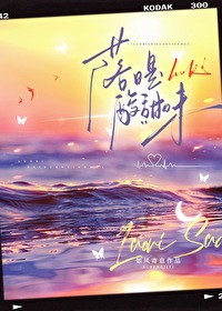 落日是一种优雅