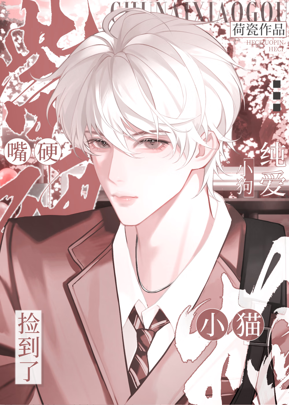 捡到可爱的小猫咪